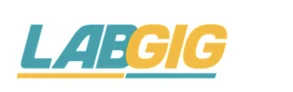 Labgig
